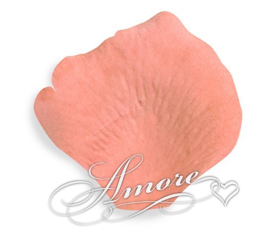 Picture of Apricot (Light Terracotta) Silk Rose Petals