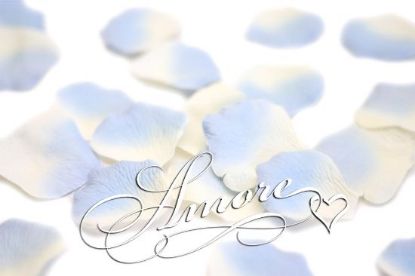 Picture of Blue Angel Silk Rose Petals