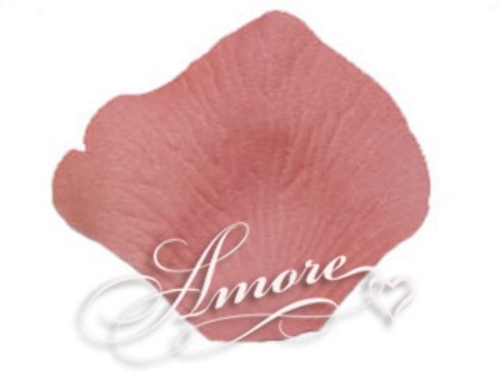 Picture of Candy Pink - Coral Reef Silk Rose Petals