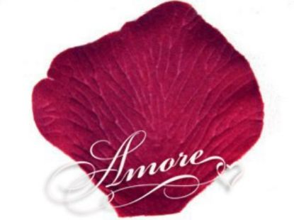 Picture of Chambord Silk Rose Petals