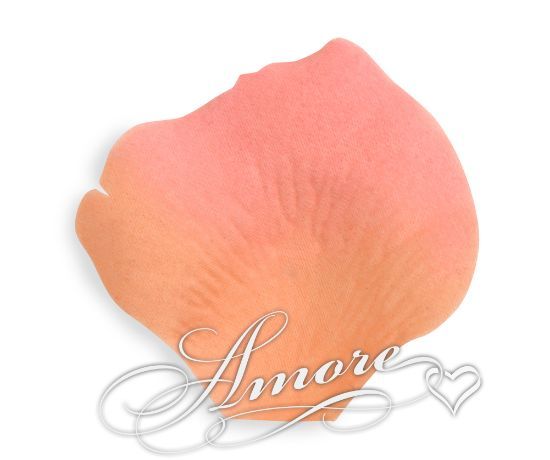 Picture of Coral Silk Rose Petals