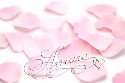 Picture of Double Pink Silk Rose Petals