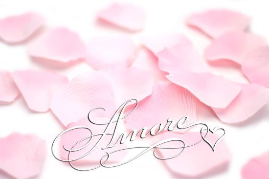 Picture of Double Pink Silk Rose Petals