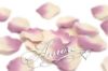 Picture of Extravaganza (Lavender and Light Ivory) Silk Rose Petals