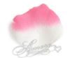 Picture of Flamingo (White and Fuchsia) Silk Rose Petals