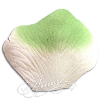 Picture of Green-Light Ivory Silk Rose Petals